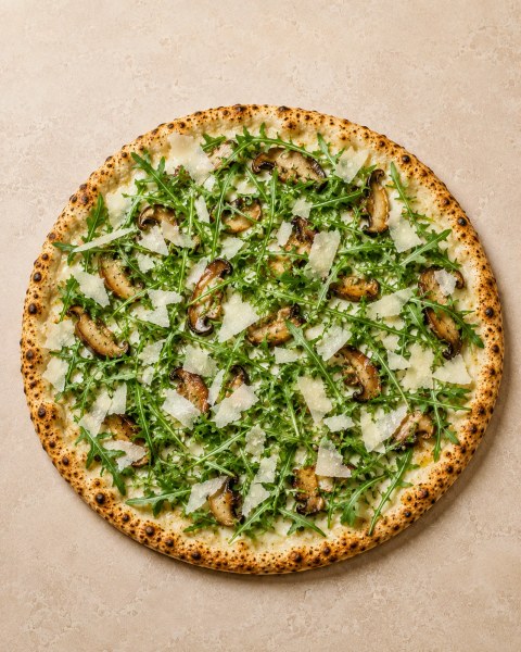 Porcini